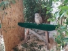 img-20220911-wa0002