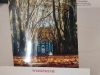 img-20250318-wa0015