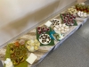 img-20240229-wa0009