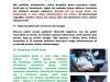 5e332525229ac567db63de3779da43d8-3-copy
