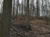 btrhdr