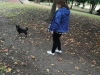 toz2-copy