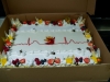 img-20250521-wa0029