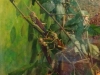 wieczecka-do-poznania04