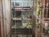 img-20250626-wa0027