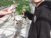 20220615_090150-copy
