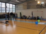 IMG_3528